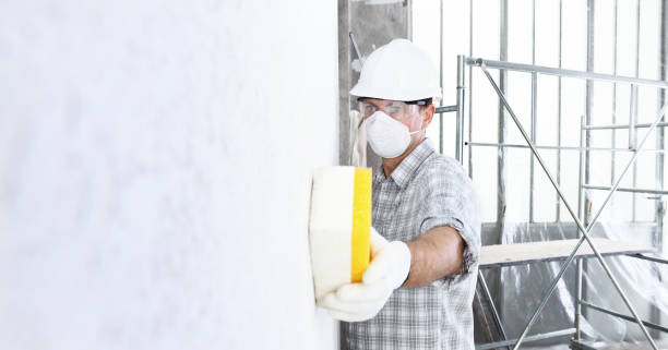 Trusted St Ann, MO Mold Inspection Experts